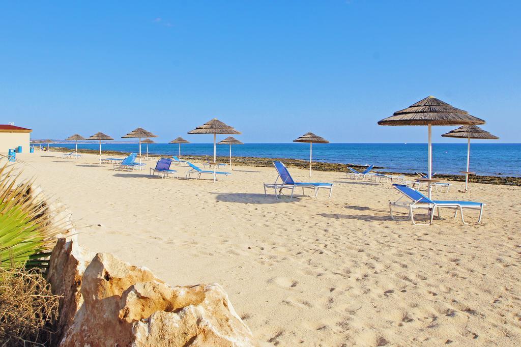Regina Case de vacanță Ayia Napa